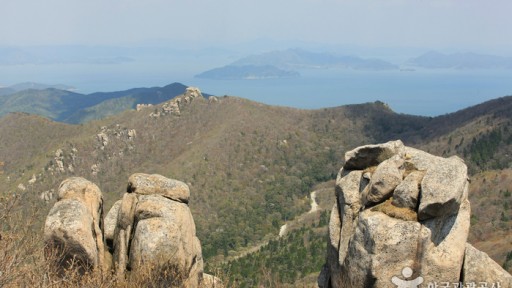 금산